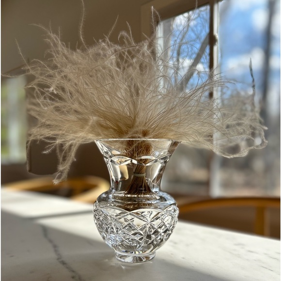 Assorted Dried floral & frisée batches - Picture 10 of 10